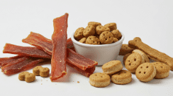 강아지 오리고기